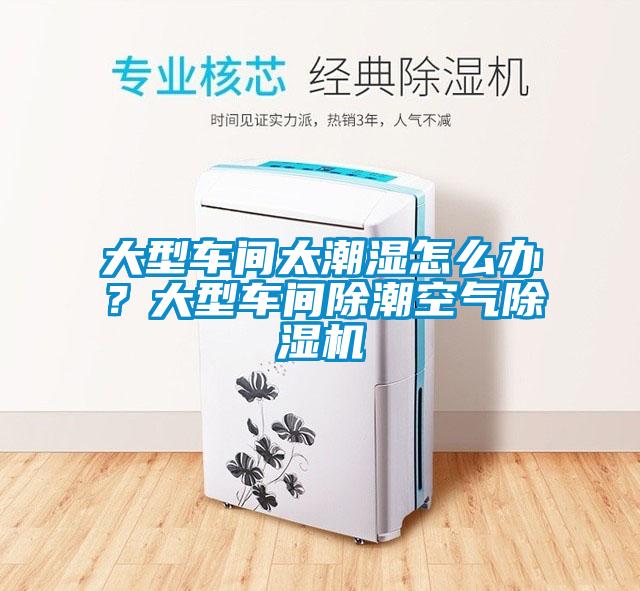 大型車(chē)間太潮濕怎么辦？大型車(chē)間除潮空氣除濕機(jī)