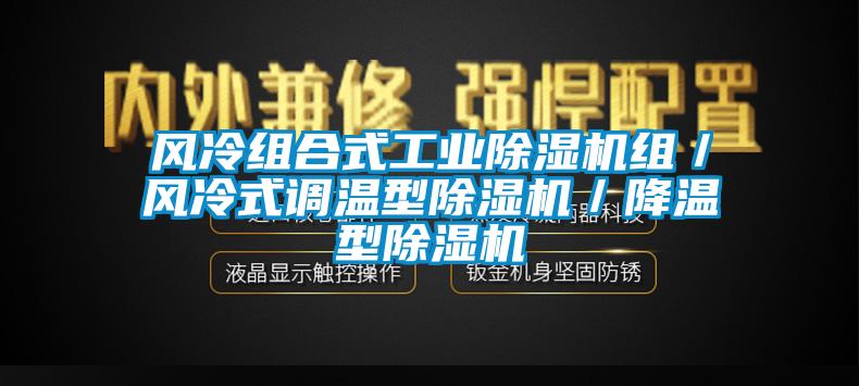 風冷組合式工業(yè)除濕機組／風冷式調(diào)溫型除濕機／降溫型除濕機