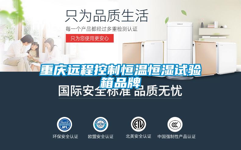 重慶遠(yuǎn)程控制恒溫恒濕試驗箱品牌