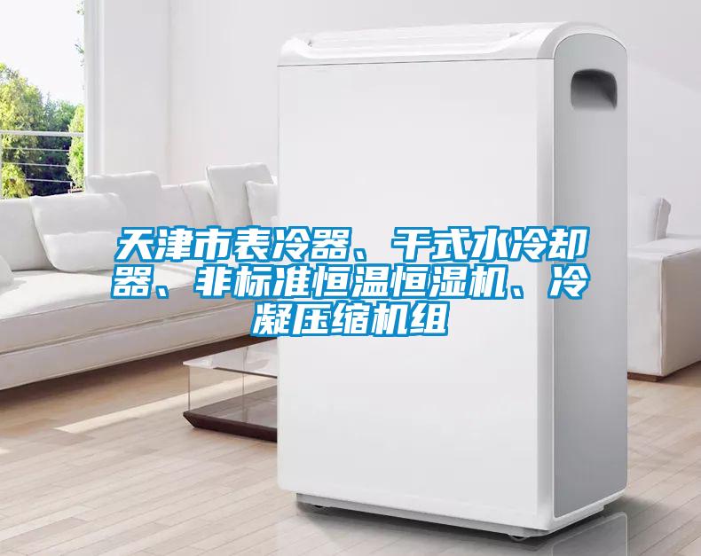 天津市表冷器、干式水冷卻器、非標準恒溫恒濕機、冷凝壓縮機組