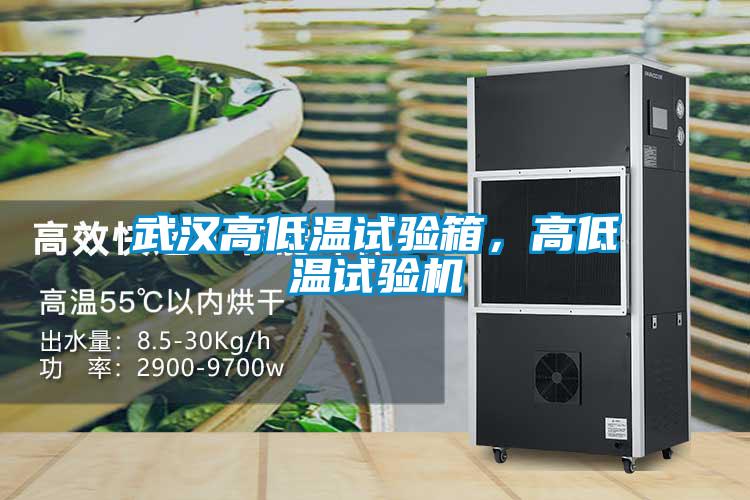 武漢高低溫試驗(yàn)箱，高低溫試驗(yàn)機(jī)