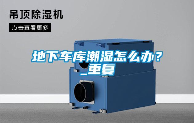地下車庫潮濕怎么辦？_重復(fù)