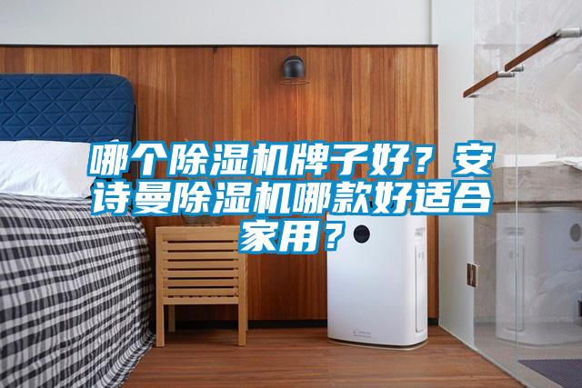 哪個除濕機牌子好？安詩曼除濕機哪款好適合家用？