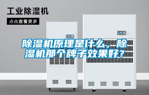 除濕機(jī)原理是什么，除濕機(jī)那個牌子效果好？