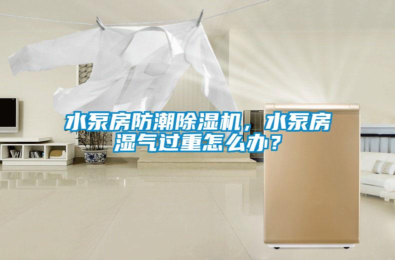 水泵房防潮除濕機(jī)，水泵房濕氣過重怎么辦？