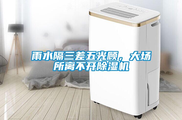 雨水隔三差五光顧，大場所離不開除濕機(jī)