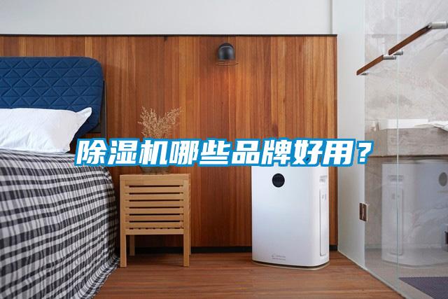 除濕機哪些品牌好用？