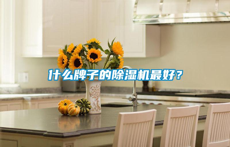 什么牌子的除濕機最好？