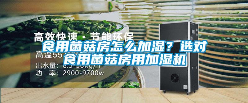 食用菌菇房怎么加濕？選對(duì)食用菌菇房用加濕機(jī)