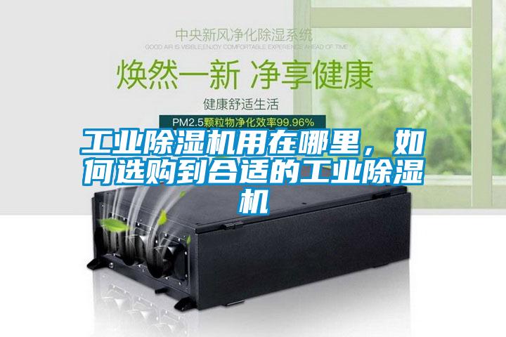 工業(yè)除濕機用在哪里，如何選購到合適的工業(yè)除濕機