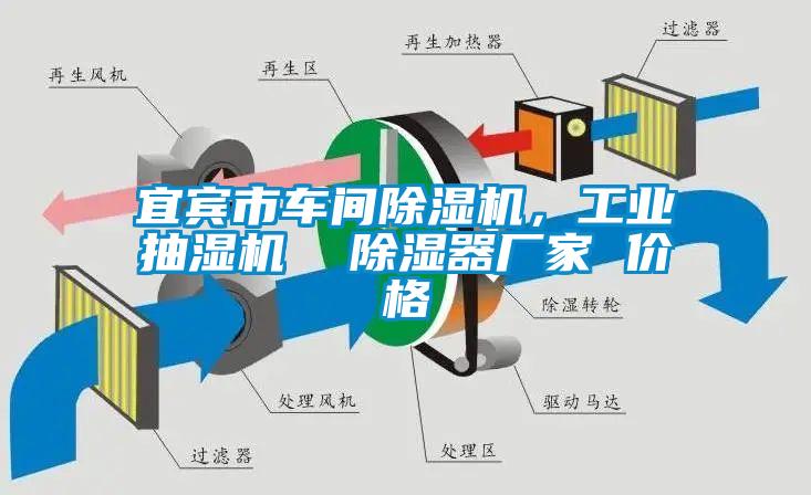 宜賓市車間除濕機(jī)，工業(yè)抽濕機(jī)  除濕器廠家 價格