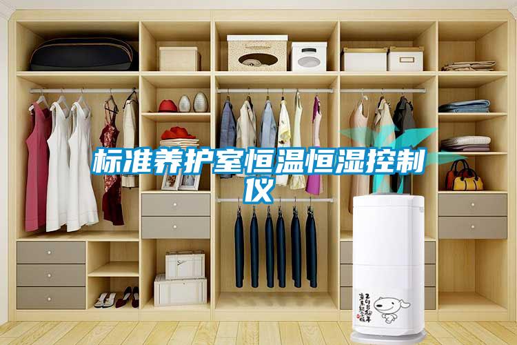 標(biāo)準(zhǔn)養(yǎng)護室恒溫恒濕控制儀