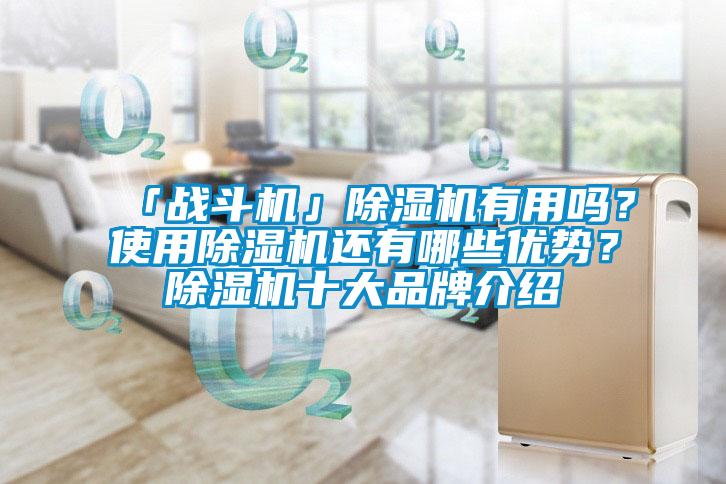 「戰(zhàn)斗機」除濕機有用嗎？使用除濕機還有哪些優(yōu)勢？除濕機十大品牌介紹