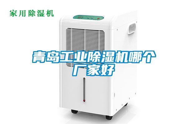 青島工業(yè)除濕機(jī)哪個廠家好