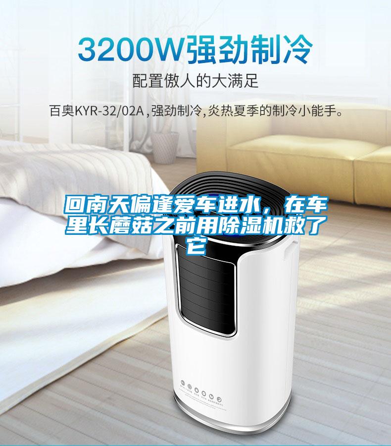 回南天偏逢愛車進水，在車里長蘑菇之前用除濕機救了它