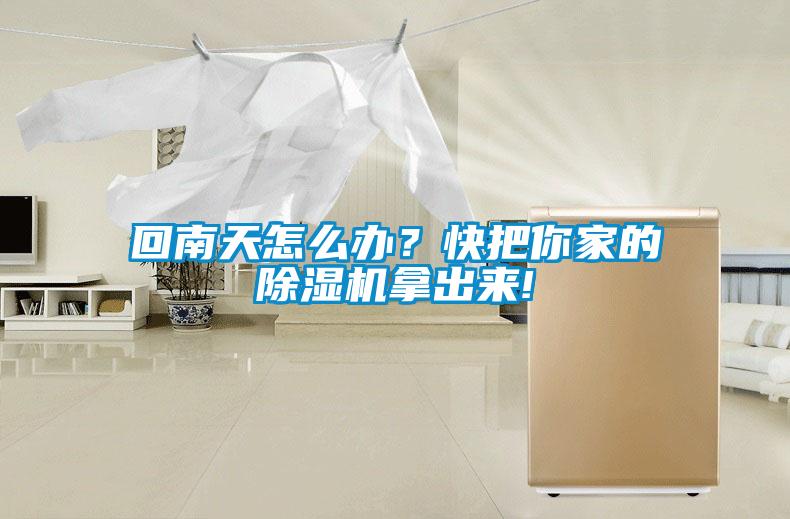 回南天怎么辦？快把你家的除濕機拿出來!