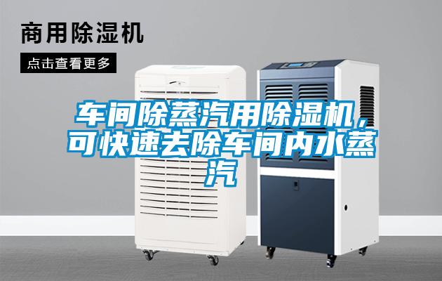 車間除蒸汽用除濕機，可快速去除車間內(nèi)水蒸汽