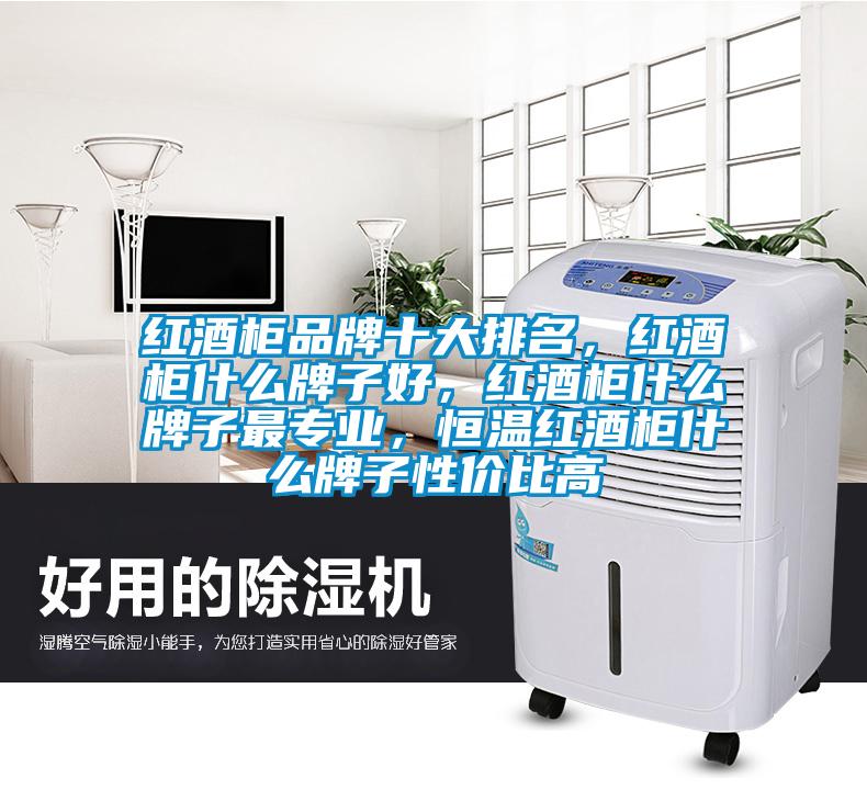 紅酒柜品牌十大排名，紅酒柜什么牌子好，紅酒柜什么牌子最專業(yè)，恒溫紅酒柜什么牌子性價比高