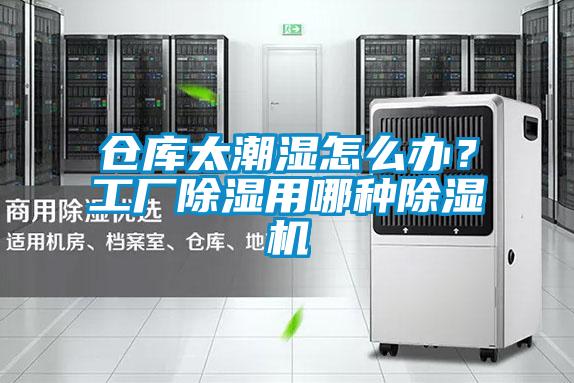 倉庫太潮濕怎么辦？工廠除濕用哪種除濕機