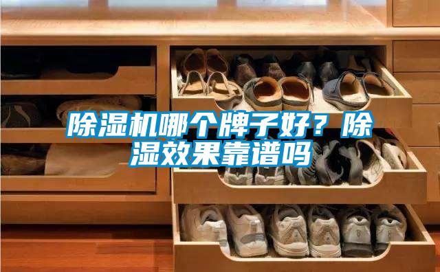 除濕機(jī)哪個(gè)牌子好？除濕效果靠譜嗎