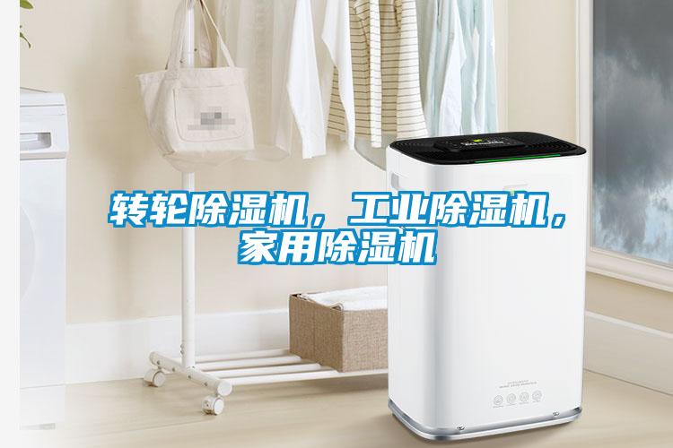 轉輪除濕機，工業(yè)除濕機，家用除濕機