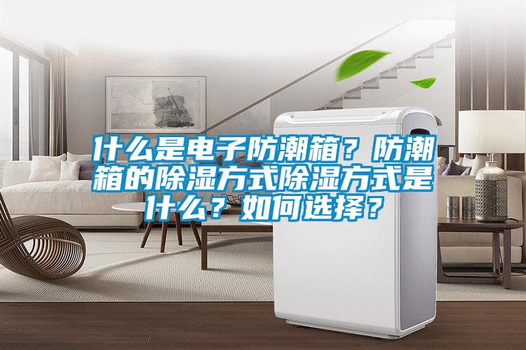 什么是電子防潮箱？防潮箱的除濕方式除濕方式是什么？如何選擇？