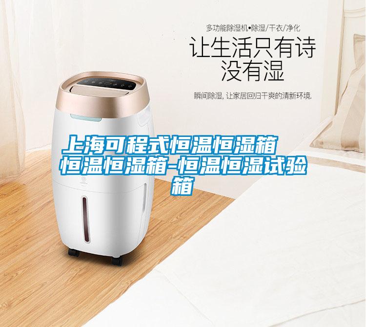 上?？沙淌胶銣睾銤裣? 恒溫恒濕箱-恒溫恒濕試驗(yàn)箱