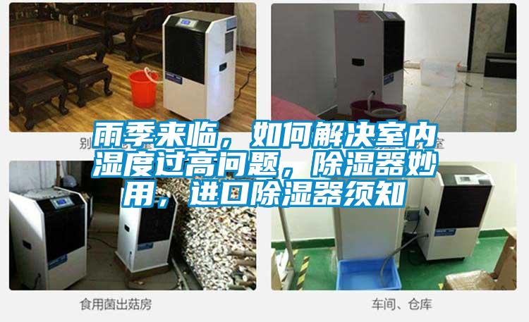 雨季來臨，如何解決室內(nèi)濕度過高問題，除濕器妙用，進(jìn)口除濕器須知