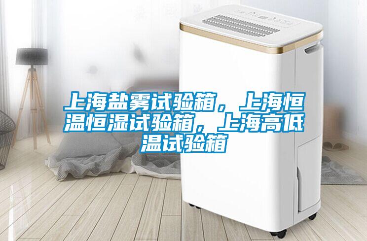 上海鹽霧試驗(yàn)箱，上海恒溫恒濕試驗(yàn)箱，上海高低溫試驗(yàn)箱