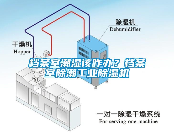 檔案室潮濕該咋辦？檔案室除潮工業(yè)除濕機