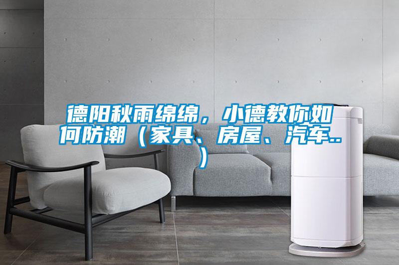 德陽秋雨綿綿，小德教你如何防潮（家具、房屋、汽車..）