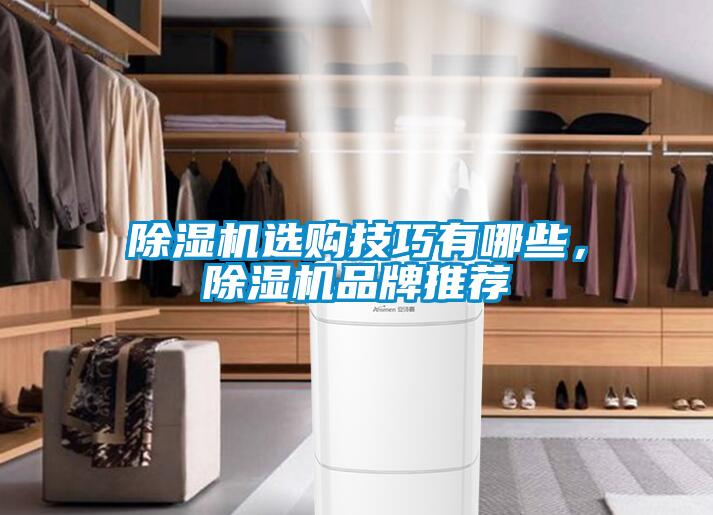 除濕機選購技巧有哪些，除濕機品牌推薦