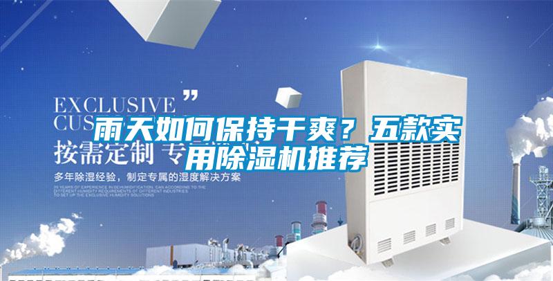 雨天如何保持干爽？五款實(shí)用除濕機(jī)推薦