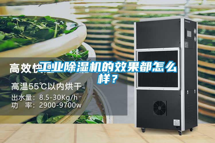 工業(yè)除濕機(jī)的效果都怎么樣？