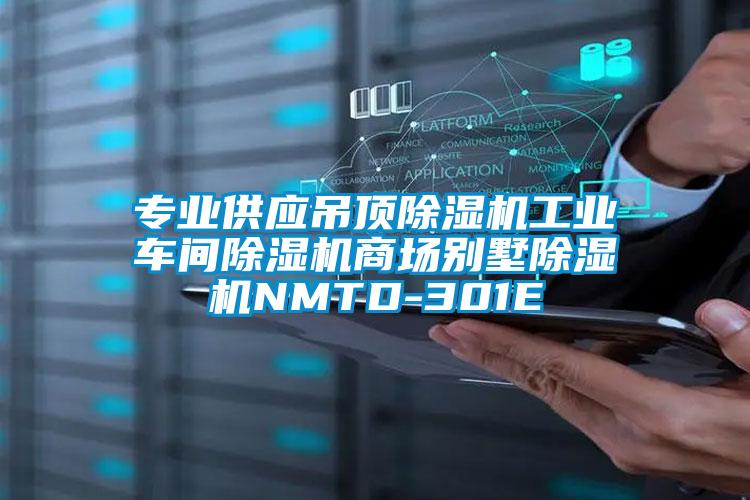 專業(yè)供應吊頂除濕機工業(yè)車間除濕機商場別墅除濕機NMTD-301E