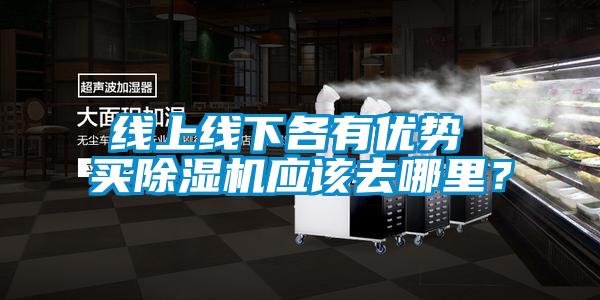 線上線下各有優(yōu)勢 買除濕機應該去哪里？
