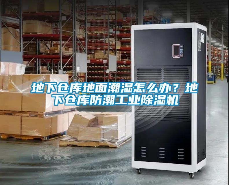 地下倉庫地面潮濕怎么辦？地下倉庫防潮工業(yè)除濕機(jī)