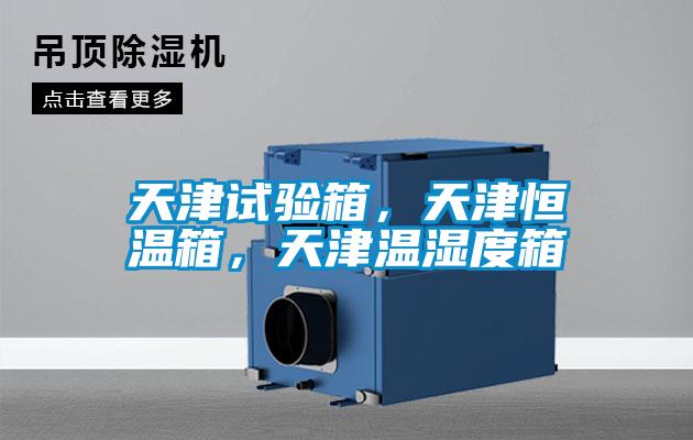 天津試驗箱，天津恒溫箱，天津溫濕度箱