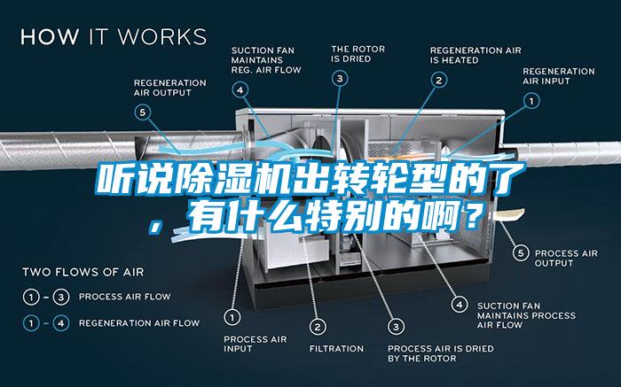 聽說除濕機出轉(zhuǎn)輪型的了，有什么特別的??？