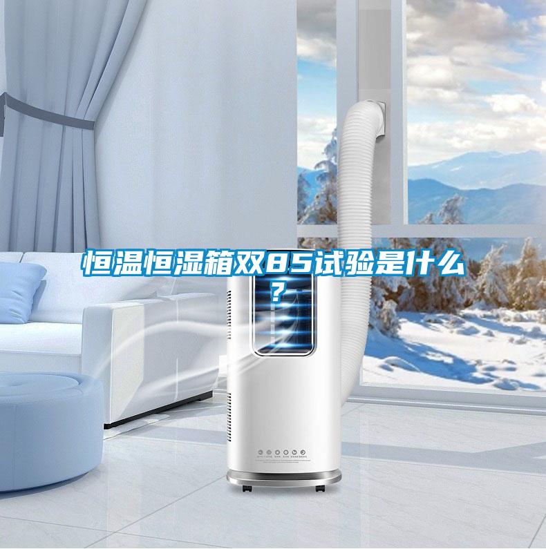 恒溫恒濕箱雙85試驗是什么？