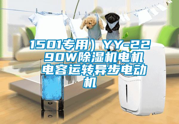 1501專(zhuān)用）YY-22  90W除濕機(jī)電機(jī)  電容運(yùn)轉(zhuǎn)異步電動(dòng)機(jī)