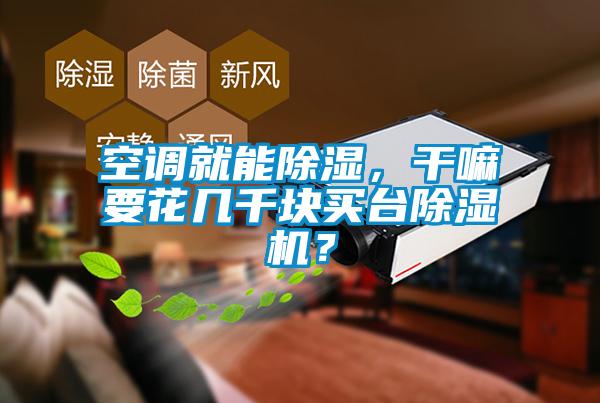 空調(diào)就能除濕，干嘛要花幾千塊買臺除濕機(jī)？