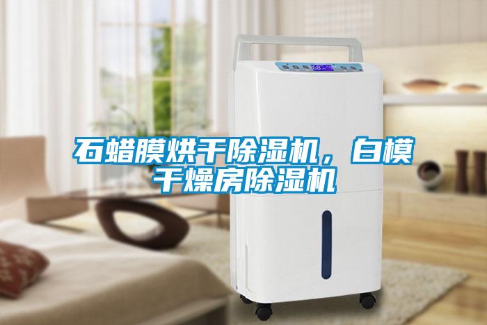 石蠟?zāi)ず娓沙凉駲C(jī)，白模干燥房除濕機(jī)