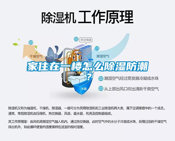 家住在一樓怎么除濕防潮？