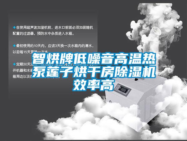 智烘牌低噪音高溫?zé)岜蒙徸雍娓煞砍凉駲C效率高
