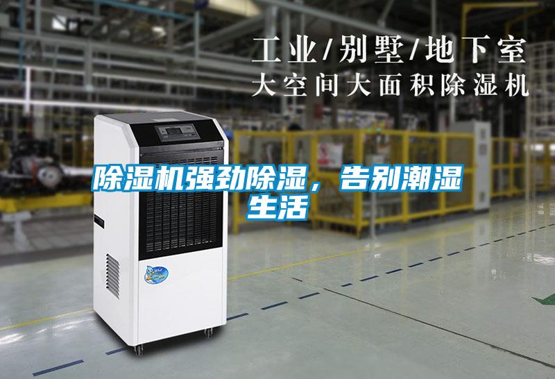 除濕機(jī)強(qiáng)勁除濕，告別潮濕生活