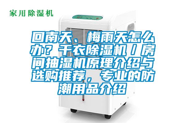 回南天、梅雨天怎么辦？干衣除濕機(jī)／房間抽濕機(jī)原理介紹與選購(gòu)?fù)扑]，專業(yè)的防潮用品介紹