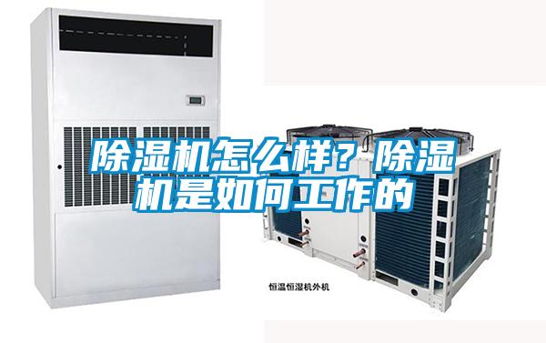 除濕機怎么樣？除濕機是如何工作的