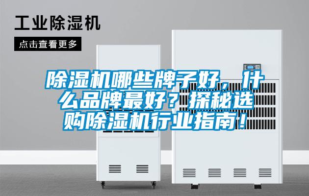 除濕機(jī)哪些牌子好，什么品牌最好？探秘選購(gòu)除濕機(jī)行業(yè)指南！