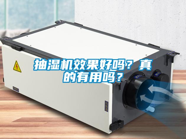 抽濕機效果好嗎？真的有用嗎？